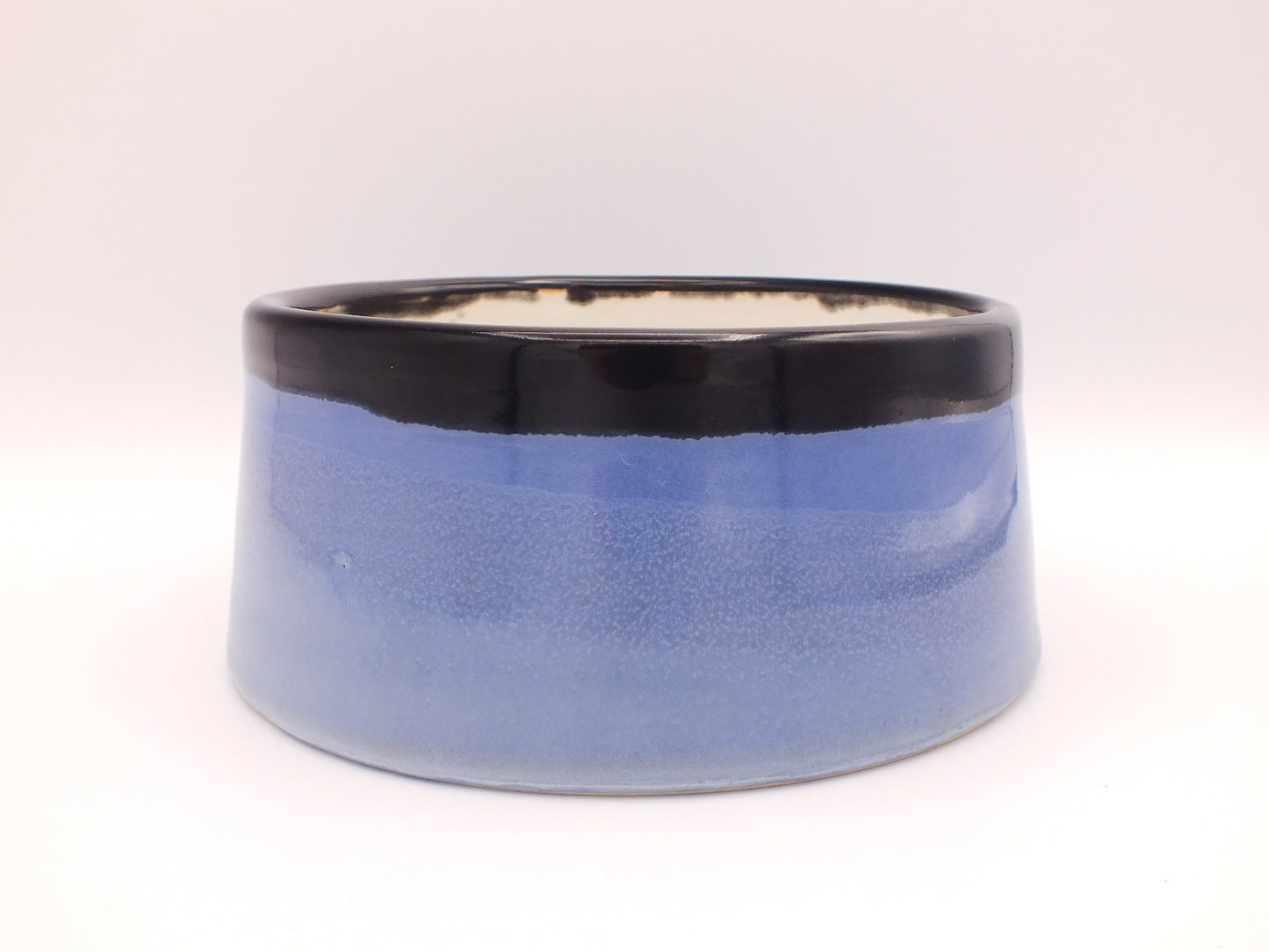 Pet Bowl - Spoil Your Furry Friend in Style