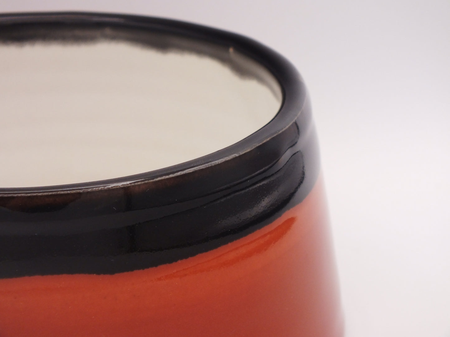 Pet Bowl - Spoil Your Furry Friend in Style