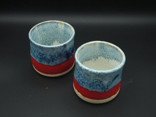 Earth and Fire Tumbler