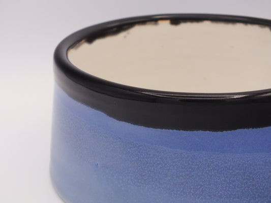 Pet Bowl - Spoil Your Furry Friend in Style