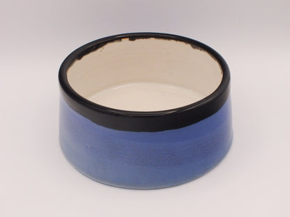 Pet Bowl - Spoil Your Furry Friend in Style