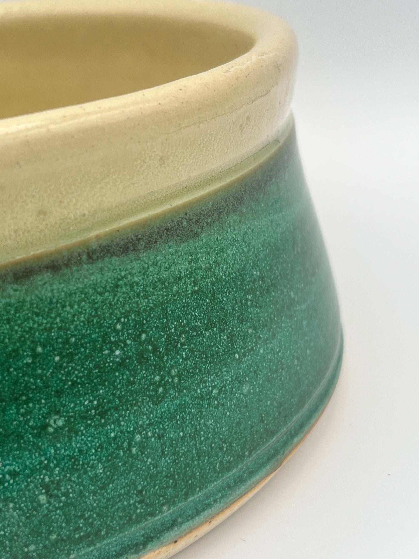 Pet Bowl - Spoil Your Furry Friend in Style