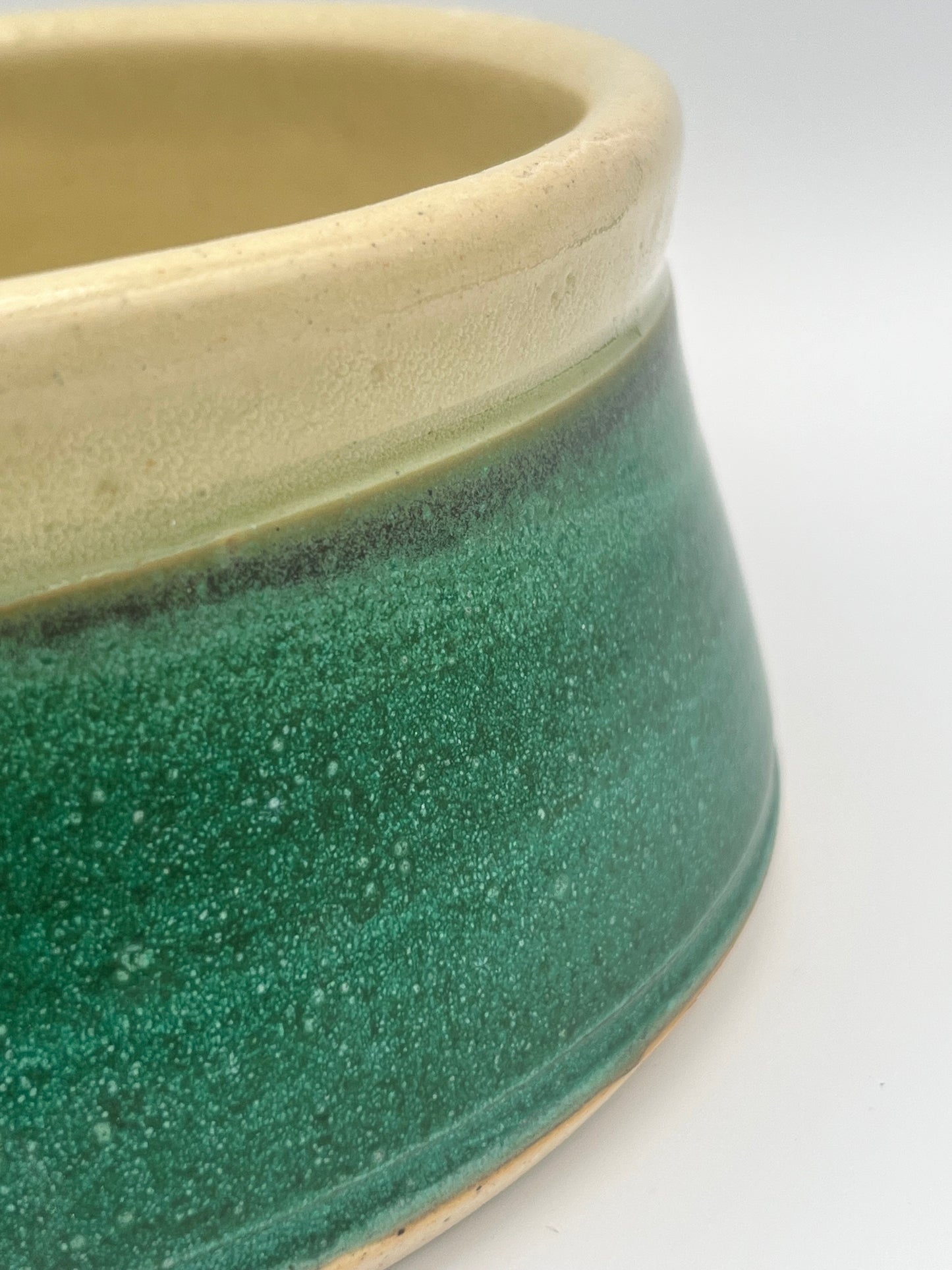 Pet Bowl - Spoil Your Furry Friend in Style