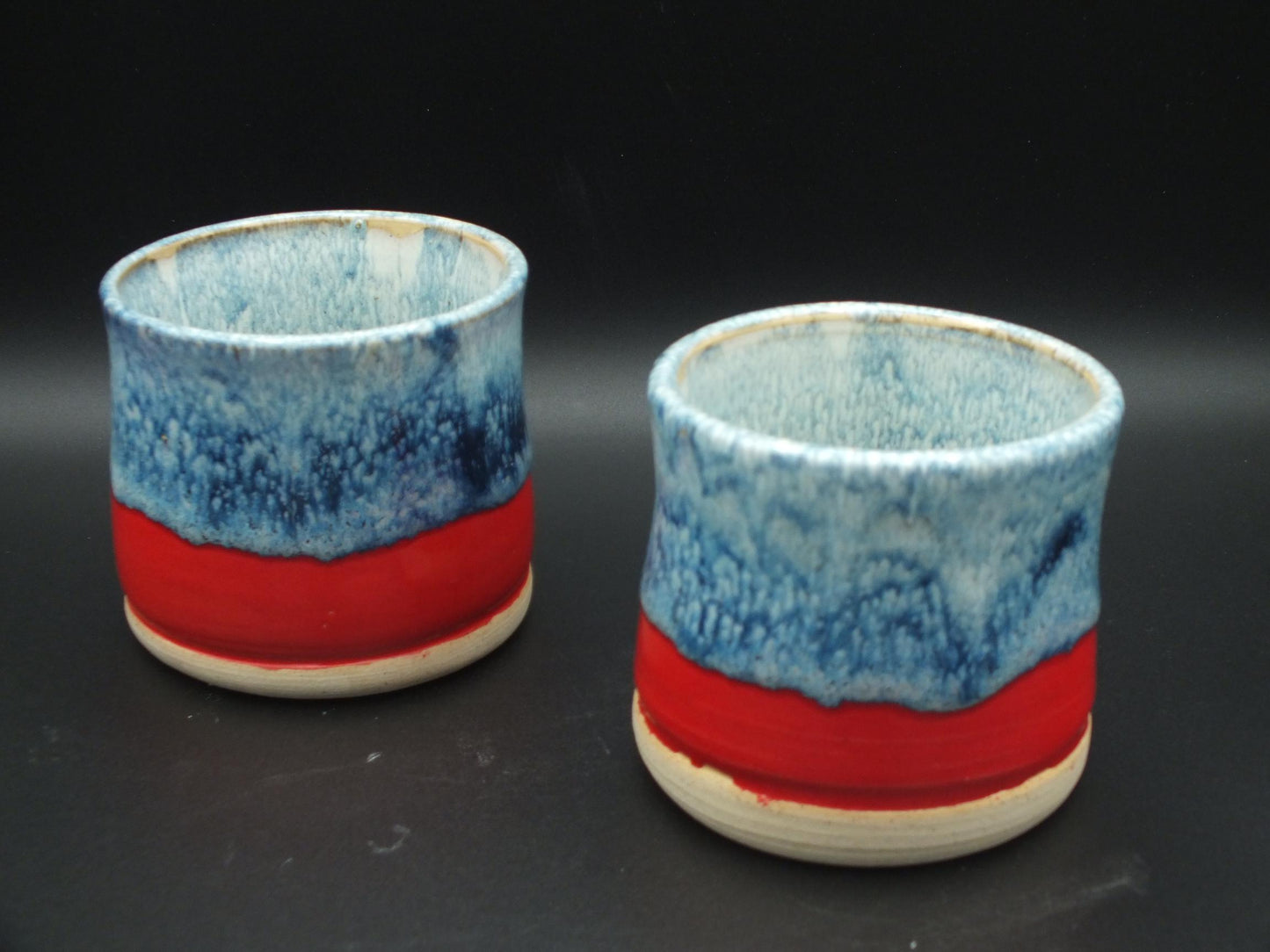 Earth and Fire Tumbler