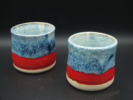 Earth and Fire Tumbler