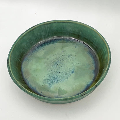 Dark Moss Deep Dinner Plate